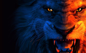 Angry Lion Desktop HD Wallpaper 76042