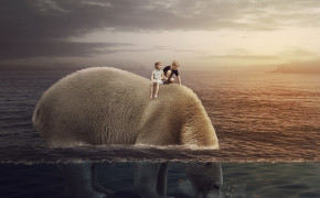 Ice Polar Bear Wallpaper 2560x1440 81120