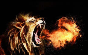 Fire Lion Background HD Wallpapers 76187