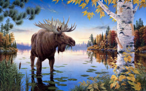 Moose Wallpaper 1920x1200 81312