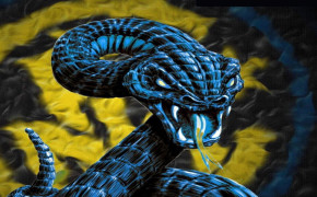 Viper Snake Desktop Widescreen Wallpaper 75846