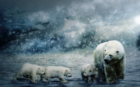 Snow Polar Bear Wallpaper 1920x1222 81675