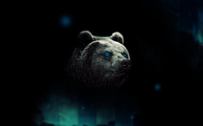Bear Background HD Wallpapers 74334
