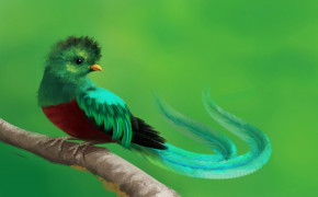 Quetzal Background Wallpapers 77952
