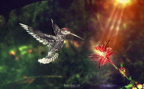 Fantasy Hummingbird HD Background Wallpaper 76178
