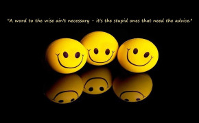 Funny Stupid Ones Quotes Wallpaper 00792