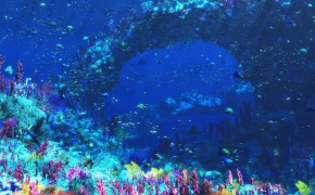 Sea Life HD Background Wallpaper 79070