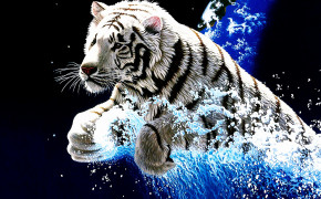 Tiger Best HD Wallpaper 80598