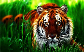 3D Tiger 07472