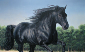 Black Horse Wallpaper 07681