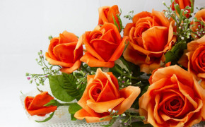 Beautiful Orange Rose Wallpaper 07650