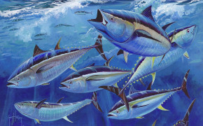 Tuna Fish Wallpaper 1740x1181 81757