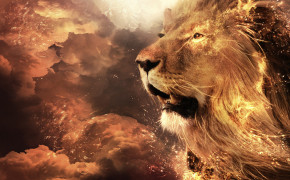 Abstract Lion 07481