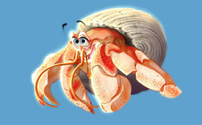 Hermit Crab Widescreen Wallpapers 76660