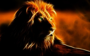 Fire Lion Background Wallpapers 76189