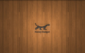 Badger HD Desktop Wallpaper 74161