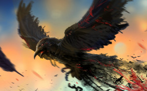Raven HD Background Wallpaper 78127