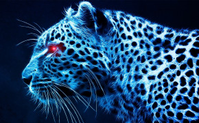 Cool Leopard HD Wallpaper 76146