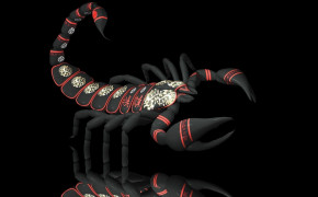 Scorpion Animal Wallpaper 2880x1800 81658
