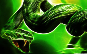 Green Viper Snake Wallpaper 1920x1080 81100