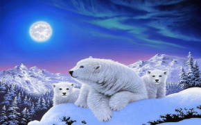 Christmas Polar Bear Images 07730