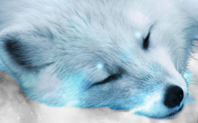 Arctic Fox Desktop Wallpaper 73914