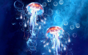 Jellyfish Widescreen Wallpapers 77179
