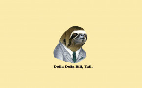 Sloth Best HD Wallpaper 79602