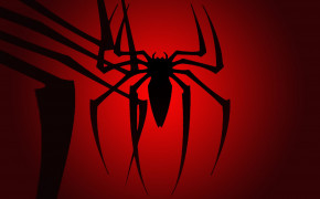 Redback Spider Background Wallpapers 78263