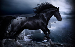 Black Horse Pics 07678