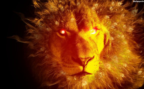 Fire Lion HD Background Wallpaper 76195