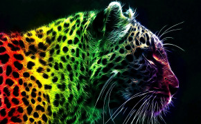 Cool Leopard HD Background Wallpaper 76144