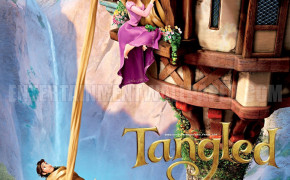 Disney Princess Rapunzel Background Wallpapers 07838