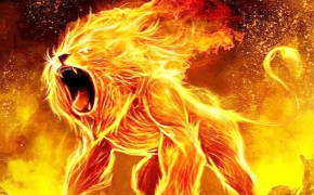 Fire Lion Wallpaper 76202