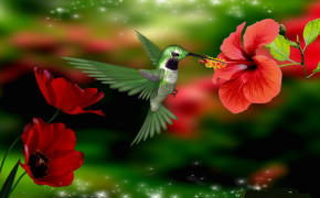 Flower Hummingbird HD Wallpapers 76217