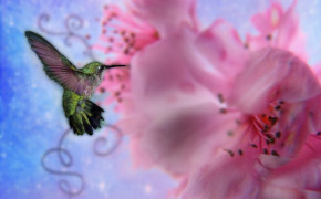 Fantasy Hummingbird Best Wallpaper 76174