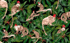 Monkey HD Wallpaper 75187