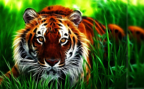 3D Tiger Background Wallpaper 07464