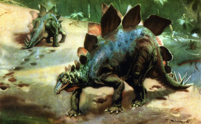 Stegosaurus HD Background Wallpaper 80025