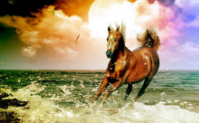 Morgan Horse Best HD Wallpaper 75215