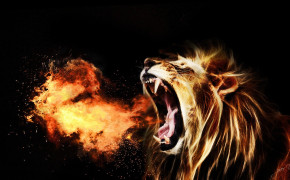 Lion Roar Wallpaper HD 07978