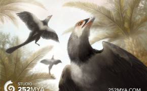 Archaeopteryx Best HD Wallpaper 73897