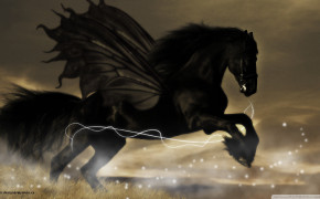 Black Horse Images 07676