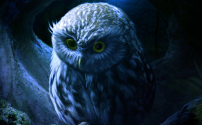 Little Owl Wallpaper 2048x2048 81144