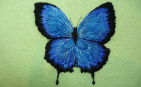 Ulysses Butterfly Background HD Wallpapers 80922
