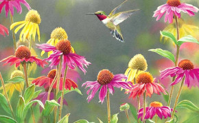 Flower Hummingbird Desktop Widescreen Wallpaper 76213
