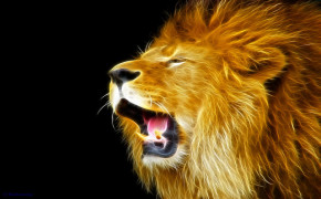 Lion Roar Desktop Wallpaper 07972