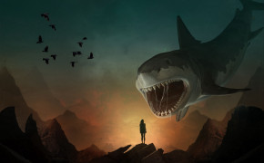 Shark Desktop HD Wallpaper 79306