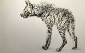 Hyena Wallpaper 76902