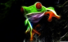 Red Eyed Tree Frog Background Wallpaper 78173